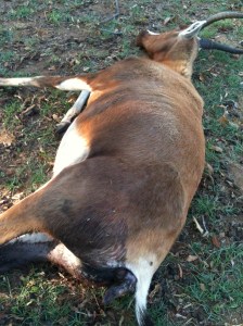 "A life promised but stolen, and a like take".